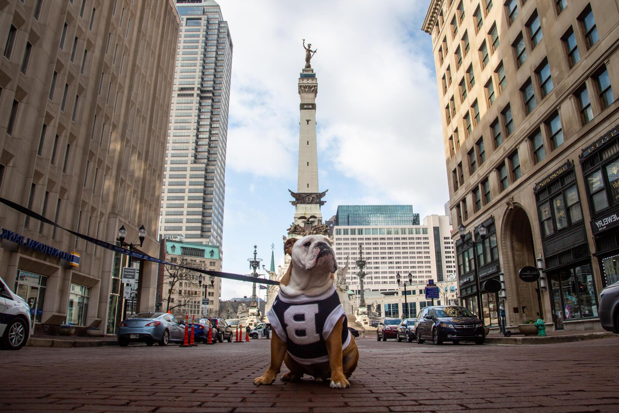 Butler blue posing in downtown Indy
